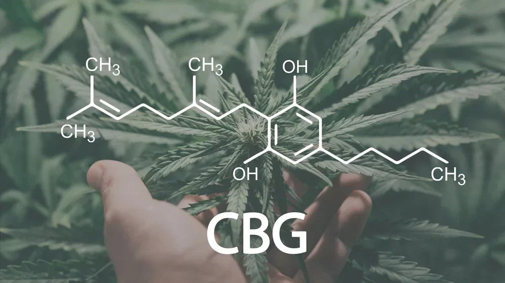 What is CBG in gummies illustrated by a cannabigerol chemical formula diagram showing its molecular structure