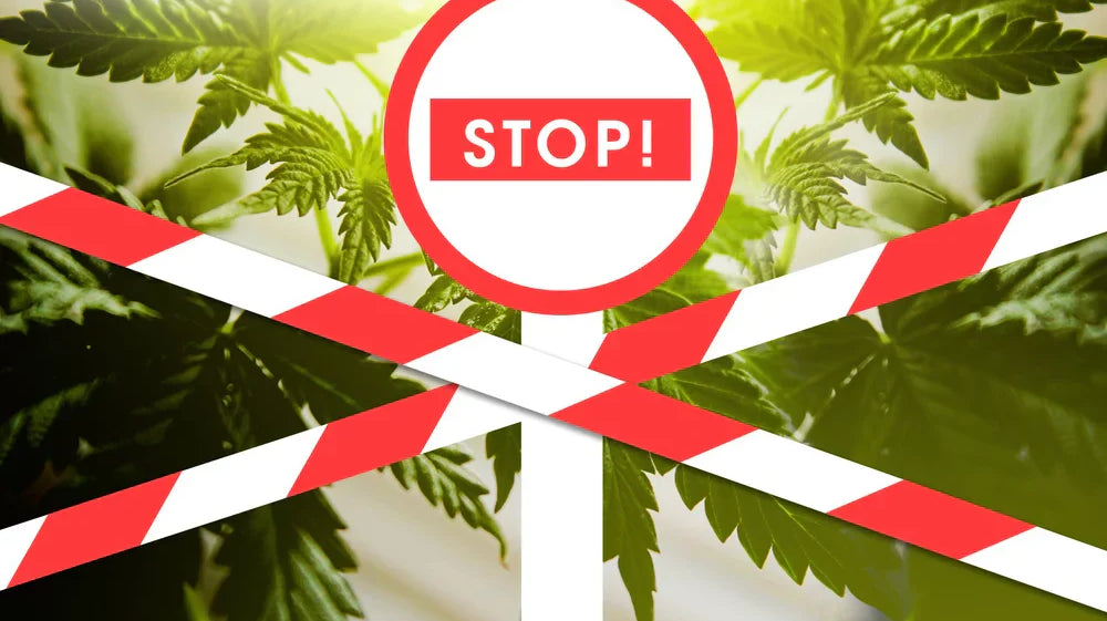 Hemp leaves with an X before them and a sign that reads “stop,” representing the 2026 hemp ban.