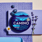 Camino Midnight Blueberry sleep gummies featuring 5mg THC and 1mg CBN in a vibrant blue container with blueberries and lavender.