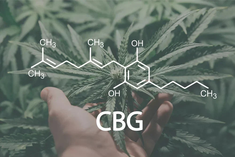 What is CBG in gummies illustrated by a cannabigerol chemical formula diagram showing its molecular structure