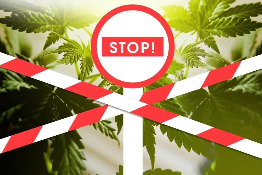 Hemp leaves with an X before them and a sign that reads “stop,” representing the 2026 hemp ban.