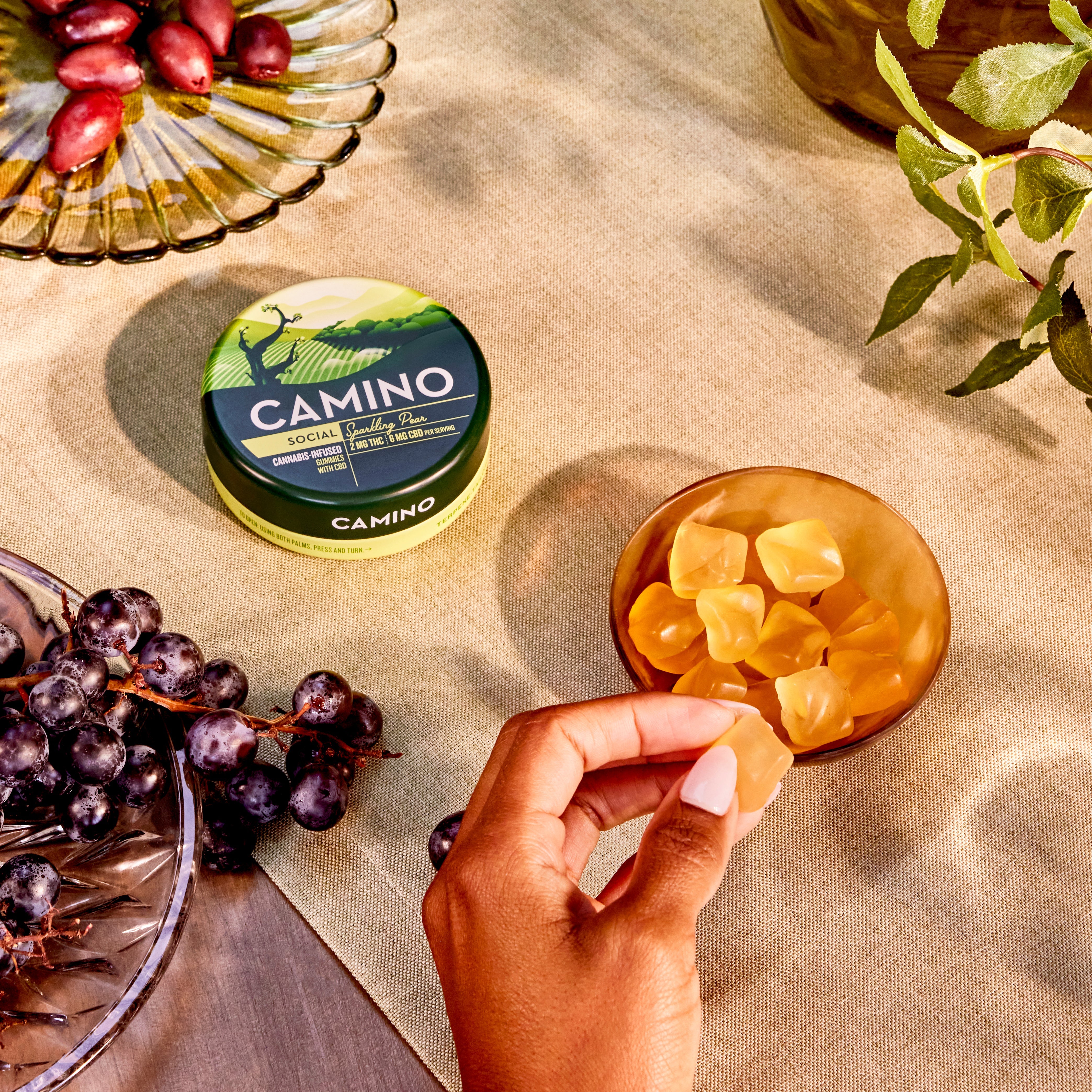 Camino Sparkling Pear gummies in a green container with a hand reaching for a gummy, surrounded by grapes and foliage.