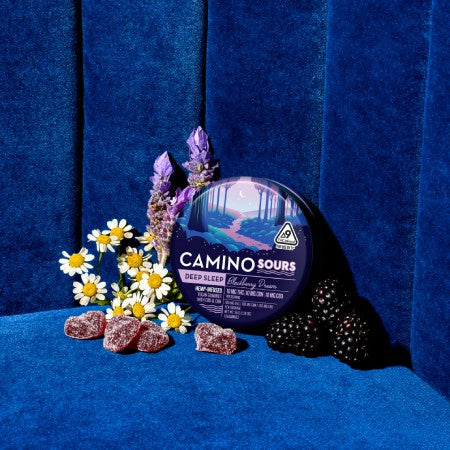 Blue container of Camino Sours Deep Sleep gummies with blackberry flavor, surrounded by flowers and blackberries, on a blu...